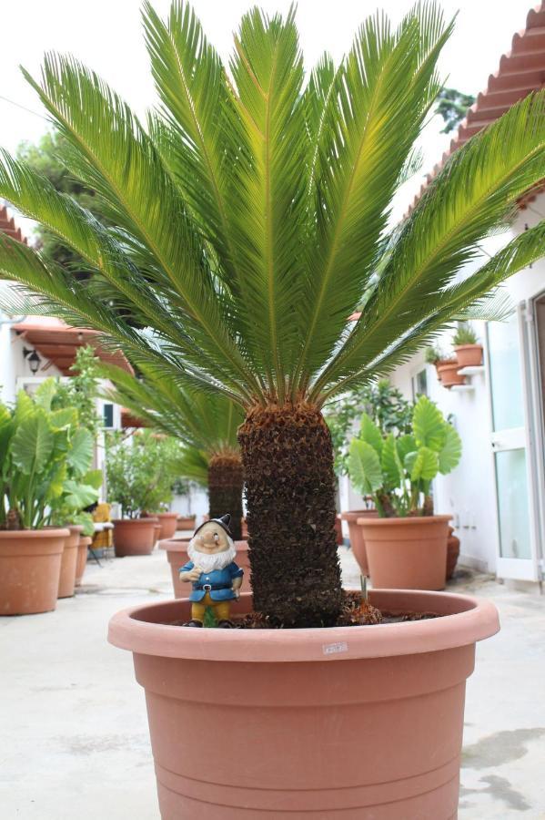 I Giardini Di Edicart Apartament Bari