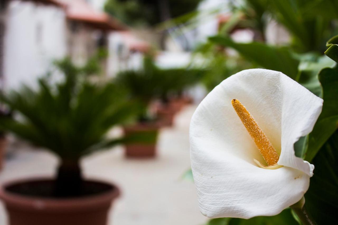 I Giardini Di Edicart Apartament